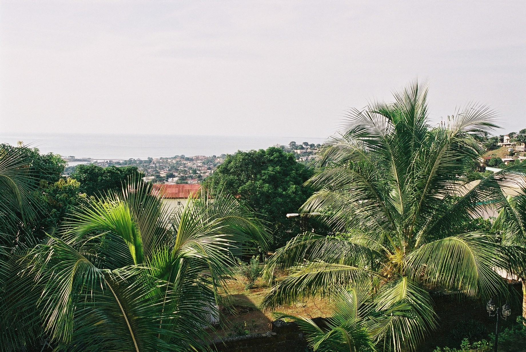 View from Scan Drive 2A